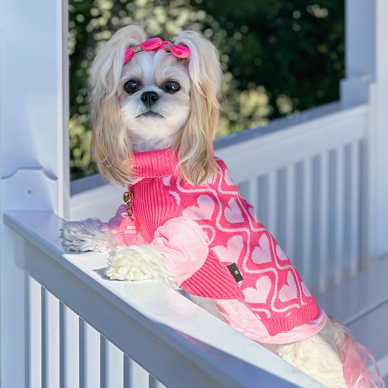 2 Pack Little Love and Sweet Hearts Turtleneck Dog Sweater, Dog Valentines Outfit, Thermal Dog Clothes for Small Dogs Girl, Pet Cat Winter Outfit, Red, Pink, Small - PawsPlanet Australia
