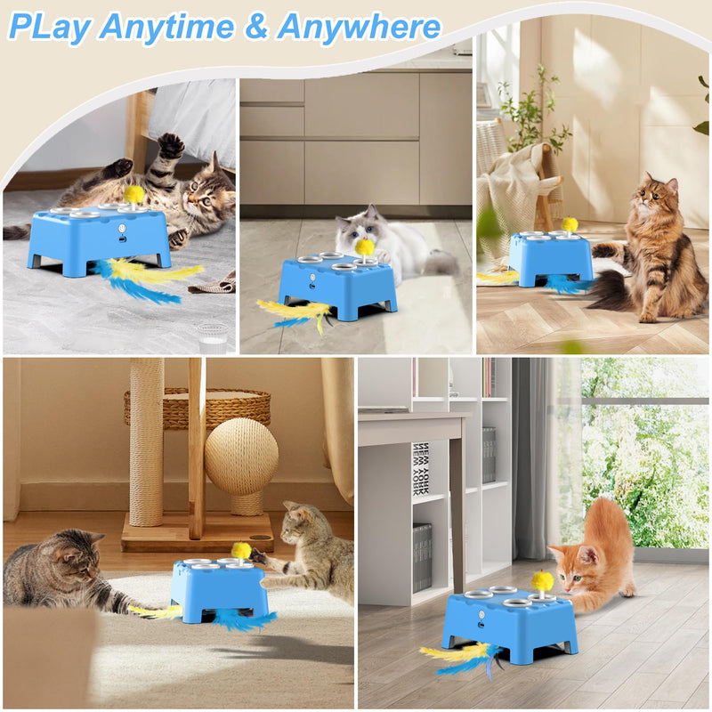 Interactive Cat Toys, 2-in-1 Automatic Cat Toy, 4 Holes Mice Whack A Mole Cat Mouse Toy with Moving Feather, Portable USB Rechargeable Electronic Kitten Toys (Blue) Blue - PawsPlanet Australia