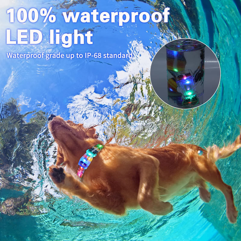 Light Up Dog Collars,LED Dog Collar Rechargeable Waterproof,2-in-1 Buckle Type Glow Collar for Medium Large Dogs- M(10-17 * 0.98 inch can be Crop) Bohemian Orange M(10-17*0.98 inch can be Crop） - PawsPlanet Australia