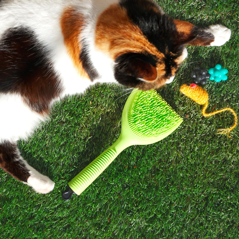 Michel Mercier Pet Detangling Brush Fine or Normal Fur - Pet Brush for Grooming, Detangling, Deshedding - Cat Brush and Dog Brush for Shedding - 1 pc