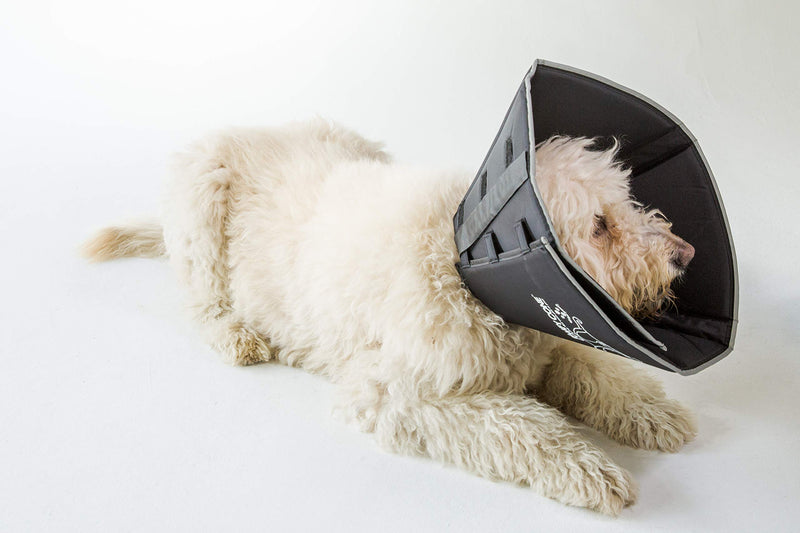 Comfy Cone Pet Cone for Dogs, Cats, X-Large, Black - Comfortable Soft Dog Cone Collar Alternative for After Surgery, Wound Care, Spay, Neuter - Dog and Cat Recovery Elizabethan-Collar XL(Neck to Nose 12") - PawsPlanet Australia