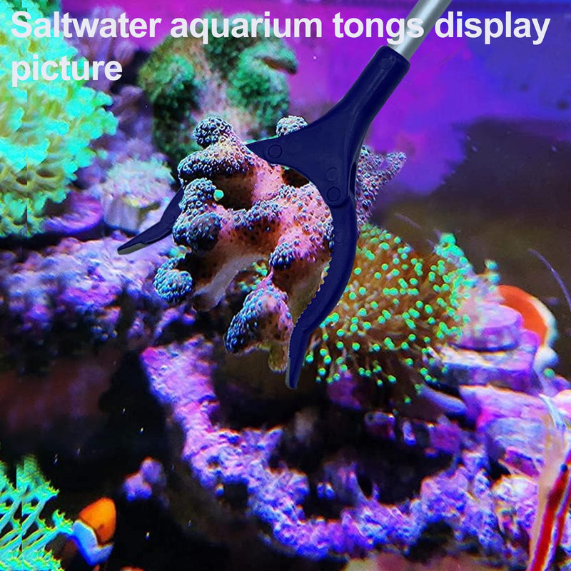 31.5Inch long coral reef Grabber,coral Feeder,Aquarium veggie Feeder,Aquarium Food Clip feeding(Long Reef grabber and coral feeder kits(ANTI-RUST) Long Reef grabber and coral feeder(ANTI-RUST) - PawsPlanet Australia