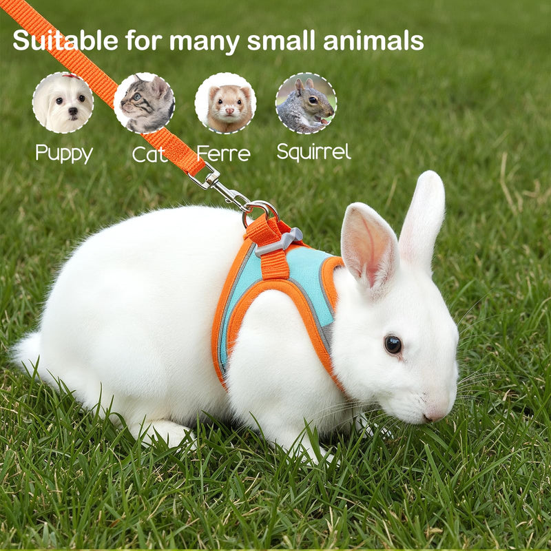 Bunny Harness and Leash Set, Adjustable Double Buckles Breathable Mesh Rabbit Vest with Reflective Strips, Escape Proof Small Pet Walking Training Gear for Rabbits, Kittens, Ferrets, Guinea Pigs (M) - PawsPlanet Australia