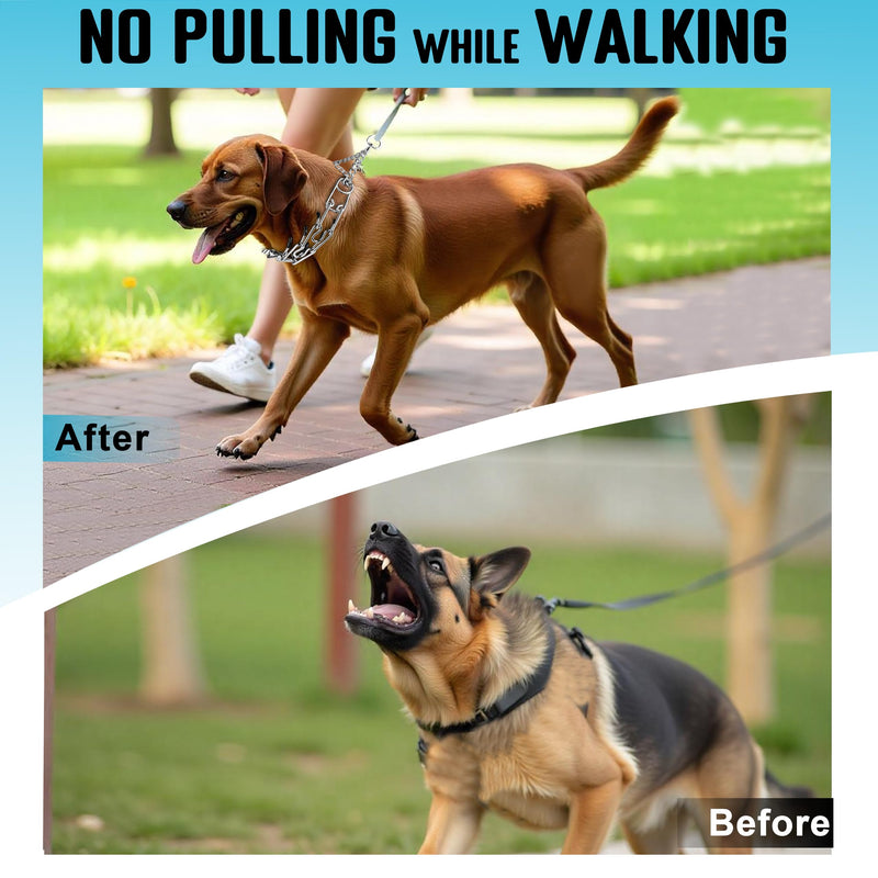MOZETO Dog Collar, Adjustable Quick Release Stainless Steel Dog Training Collar with Metal Buckle for Small Medium Large Dogs Silver Neck Girth 16.9"-22.2" - PawsPlanet Australia