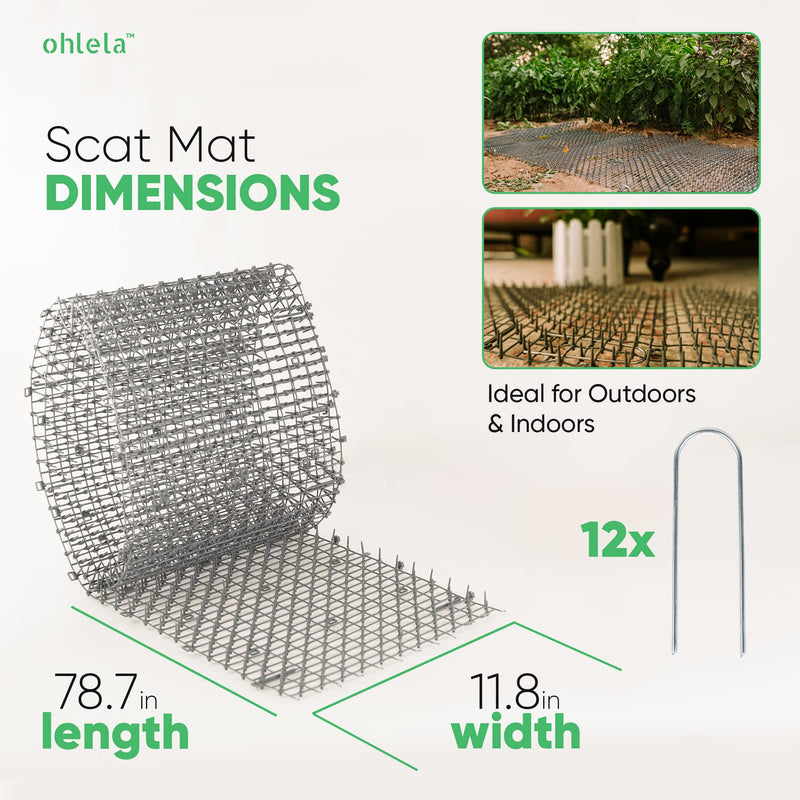 6.5ft Scat Mat for Cats - Cat Scat Mat with 12 Garden Staples. 78 inch x 11 inch PP Plastic Cat Spike Mat is Effective for Cat Repellent Outdoor & Indoor. Pet Deterrent Mat to Keep Cats & Dogs Away 6.5ft x 12in (1 Pack) Gray - PawsPlanet Australia