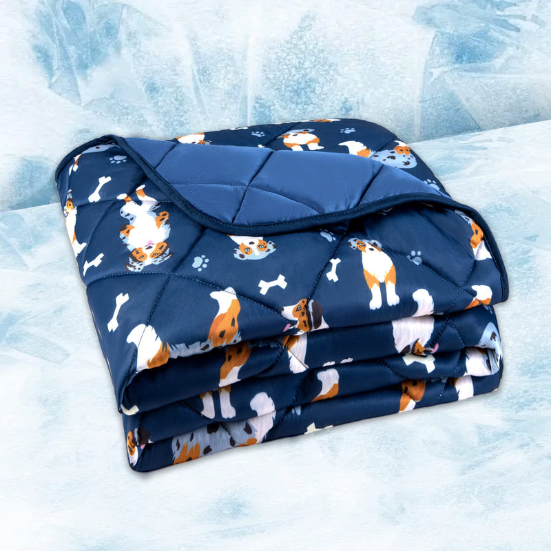 Dog Cooling Mat, Premium Lightweight Pet Cooling Blanket Bed Cover for Dogs, Cat, Puppies | Ice Silk Cool Pad for Dogs Furniture Protector | Machine Washable Pet Blanket, 40''x55'' Large Blue - PawsPlanet Australia
