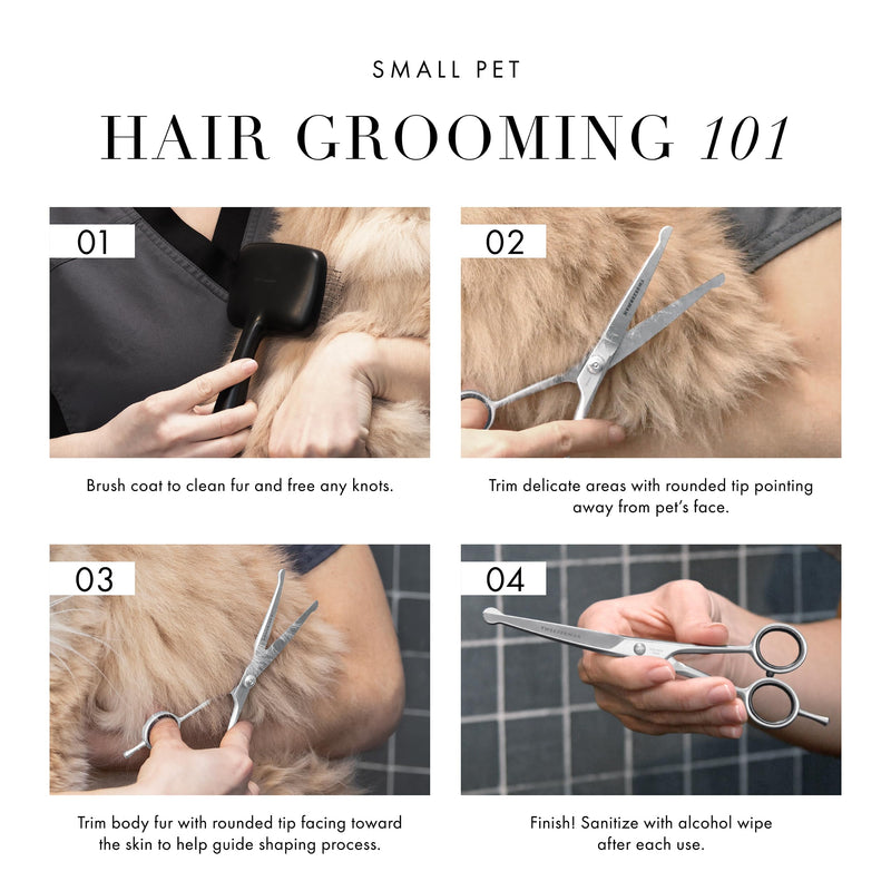 Tweezerman 7" Pet Grooming Scissors with Safety Round Tips, Professional Curved Grooming Shears for Dogs and Cats 7" Shears - PawsPlanet Australia