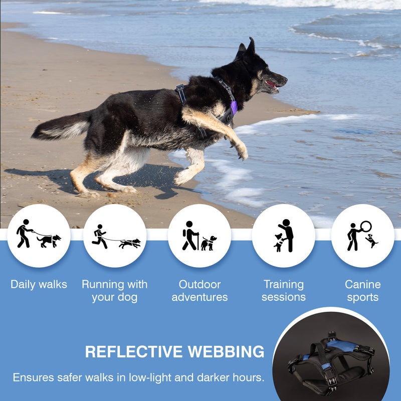 The North Star Dog Harness™ - Comfortable, Fully Adjustable, Designed to Reduce Pulling, Escape Resistant, Durable, fastens Easily and securely with Airtag Holder (Black/Grey, S) Black/Grey - PawsPlanet Australia