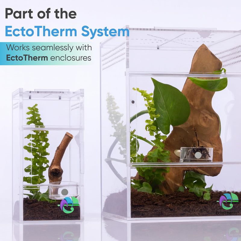 EctoTherm Jumping Spider Feeding Dish and Food Dish - Terrarium Decor, Magnetic Feeding Ledge - Essential Accessories for Pet Jumpers - PawsPlanet Australia