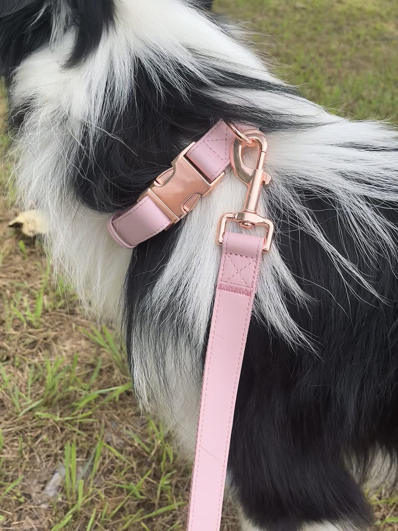 Dog Collar and Leash Set.Soft and Easy to Clean Vegan Leather with Rose Gold Metal Buckle for Small Medium Large Dogs (Pink, L(15.4”-24.8“) Pink L(15.4"-24.8"）