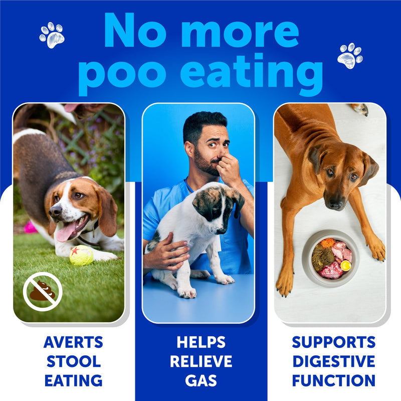 No Poo Chews for Dogs - Coprophagia Stool Eating Deterrent for Dogs - Prevent Dog from Eating Poop - Stop Eating Poop for Dogs with Probiotics & Digestive Enzymes - Forbid for Dogs No Poo Treats 120 Treats