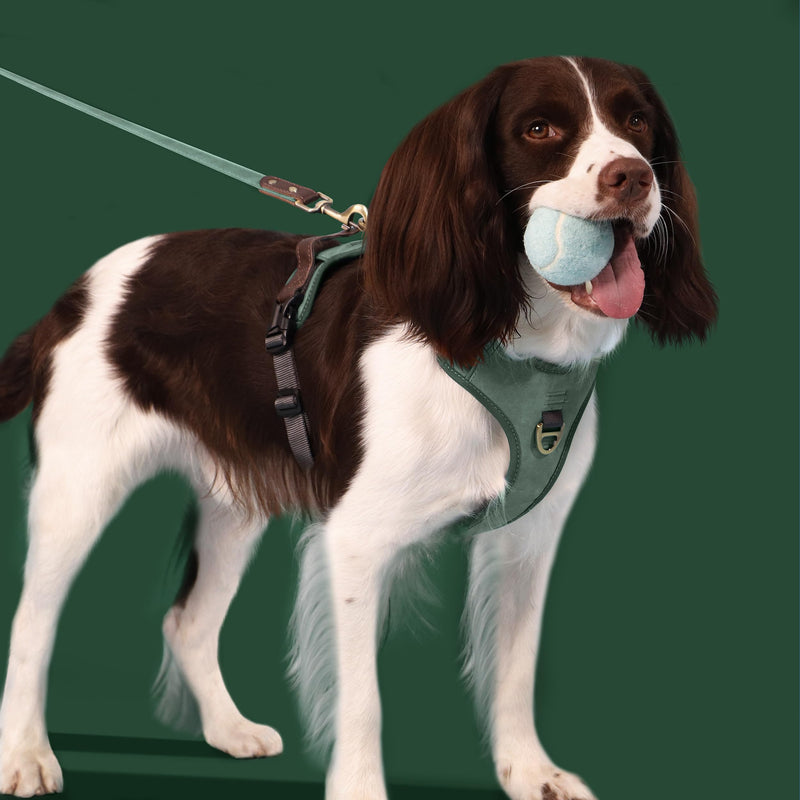 Didog No Pull Dog Harness Small Sized Dog,Classic PU Leather Vest for Small Dogs with Easy Control Handle,No Choke Front Clip,Reflective & Adjustable for Walking,Green,Chest 19-24" Green S: Chest 19-24", Fit 13-26 lbs - PawsPlanet Australia
