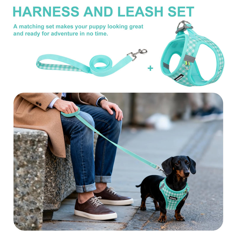 AIITLE No Pull Dog Harness and Leash Set, Step in No Chock Soft Mesh Dog Harnesses Reflective for Extra-Small Puppy Dogs and Cats, Plaid Dog Vest Harness for Pets Turquoise XXS - PawsPlanet Australia