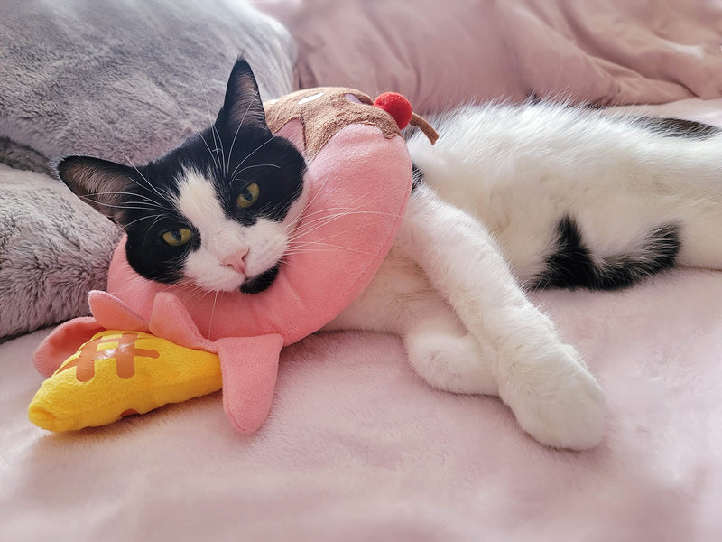CREAMYCATS Cat Cone, Adjustable Recovery Cat Cone, Cute Comfortable Lightweight Elizabethan Collar for Cat, Kitten, Puppy and Mini Dog, Adorable Ice Cream Design - PawsPlanet Australia
