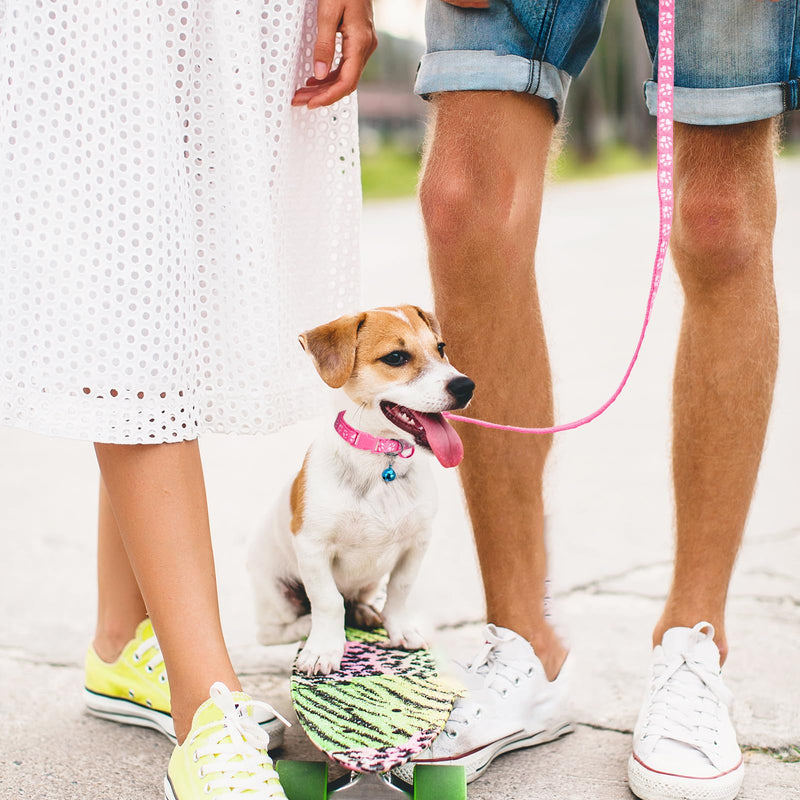 3 Pack Puppy Collar and Leashes Cat Small Dog Collar and Leash Pack Pet Kitten Collars and Leashes Adjustable Training Rope Quick Release Paw Print Soft Nylon