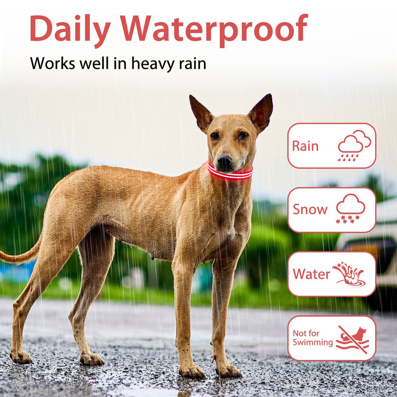 PcEoTllar LED Dog Collar, Rechargeable Flashing Light Up Dog Collar 100% Waterproof Safety Adjustable Pets Collar Increased Visibility Super Bright for Small Medium Large Dog S(11''-15.7''/28-40cm) Red - PawsPlanet Australia