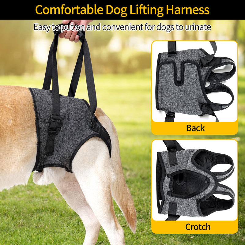 HEYWEAN Dog Sling for Large Dogs Hind Leg Support Harness Ideal for Elderly Injured Arthritic Dogs Provides Rehabilitation Aid for Weak Back Legs Comfortable and Durable Design X-Large Grey - PawsPlanet Australia