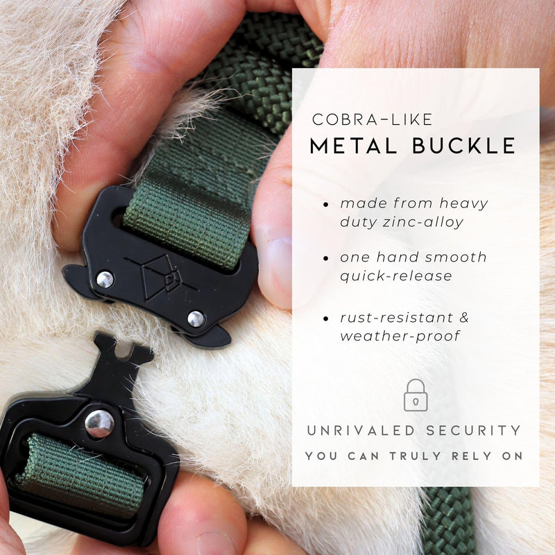 Made to ROAM Premium Dog Collar - Adjustable Heavy Duty Nylon Collar with Quick-Release Metal Buckle (Montana Moonrise, Classic Size 4) Montana Moonrise Classic 4 - PawsPlanet Australia