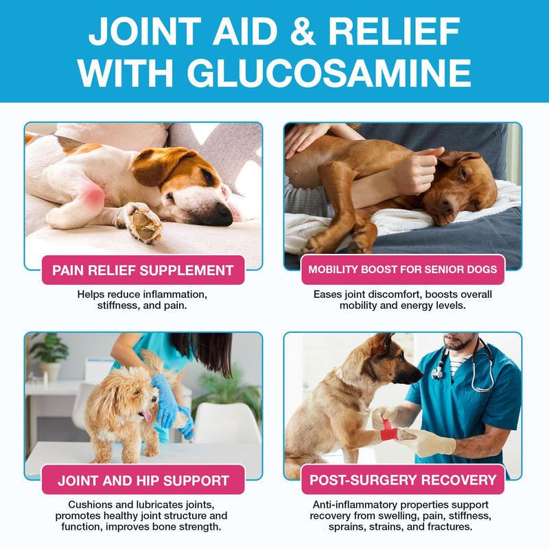 Pain Relief for Dogs, Hip & Joint Glucosamine Drops for Dogs, Chondroitin Drops for Dogs, Natural Formula with Essential Nutrients for Active & Aging Dog, 60ml - PawsPlanet Australia