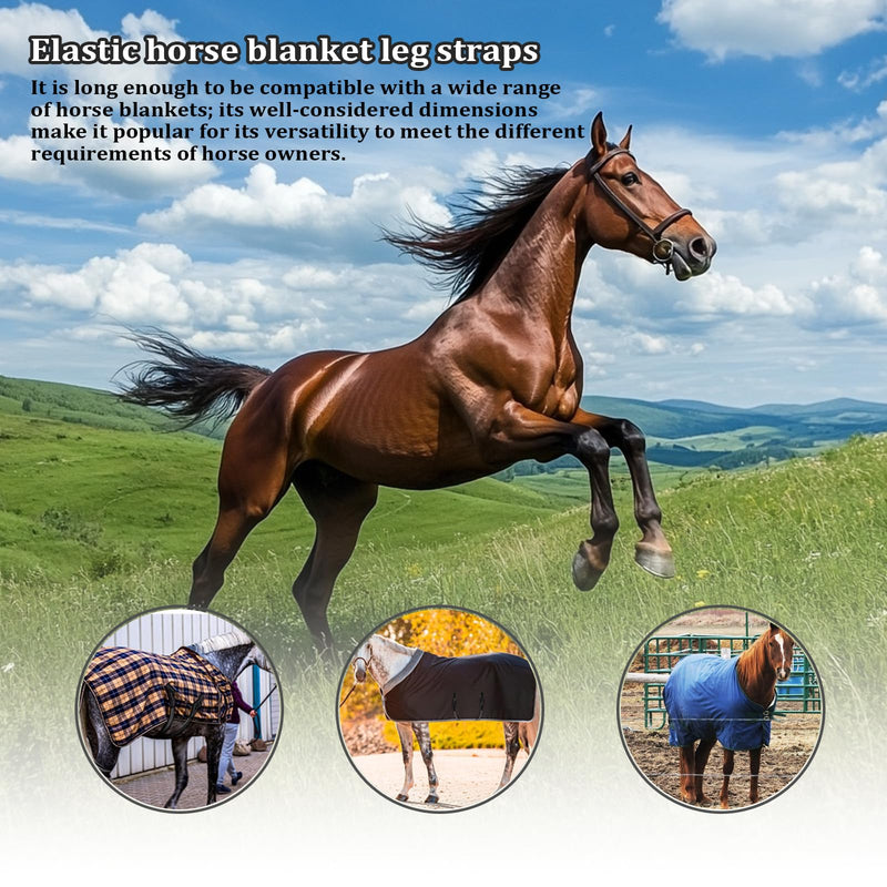 5 Pack Horse Blanket Straps Adjustable Elastic Tail Strap, Stretch Horse Rug Tail Strap with Double Ended Clips - PawsPlanet Australia
