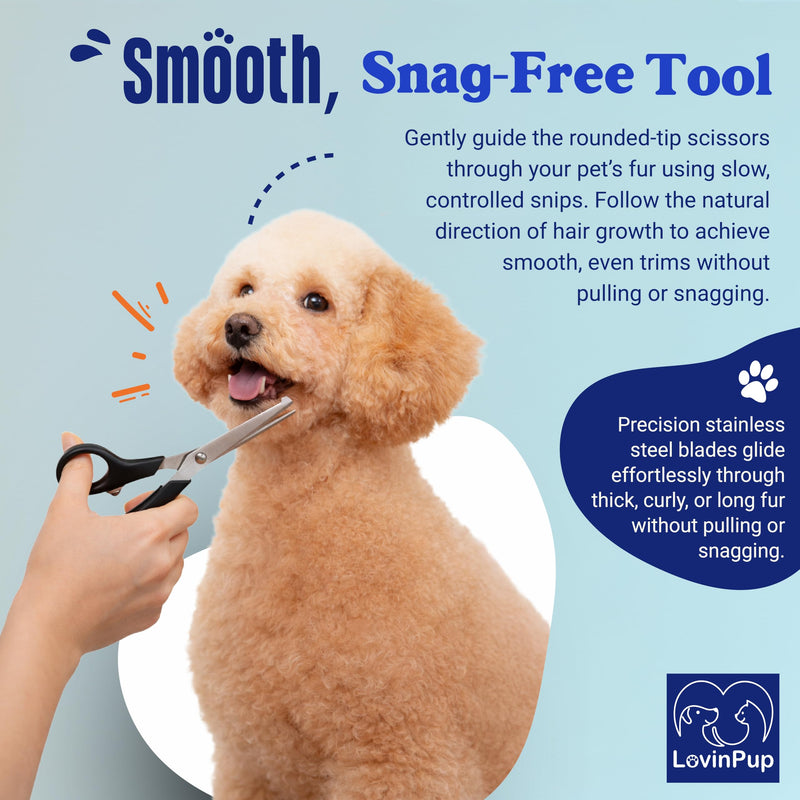Dog Grooming Scissors Set – Rounded Tip Pet Grooming Shears for Safe Facial and Body Trims – Sharp, Stainless Steel Blades for Smooth Cutting – 2-Pack Pet Grooming Scissors for Dogs and Cats - PawsPlanet Australia
