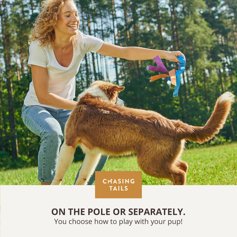 Flirt Pole for Small or Medium Dogs - 26 Inch with 70 Inch Rope and Two Toys for All Breeds - Spring Pole for Dogs, Dog Flirt Pole for Large Dogs, Dog Catcher Pole Pole - 26 Inch - PawsPlanet Australia