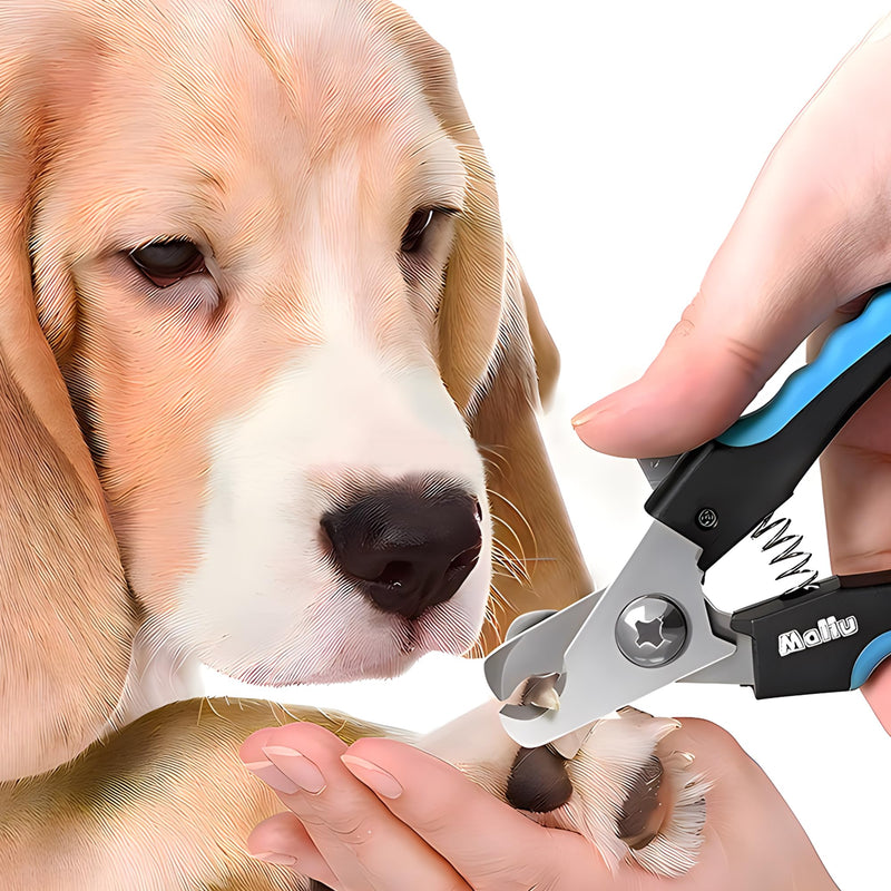 Dog & Cat Nail Clippers, Pet Nail Clipper and Trimmer with Safety Guard to Prevent Over Cutting, Grooming Razor Sharp Blades with Nail File for Small, Medium, Large Breeds, L Black Blue Blackblue - PawsPlanet Australia