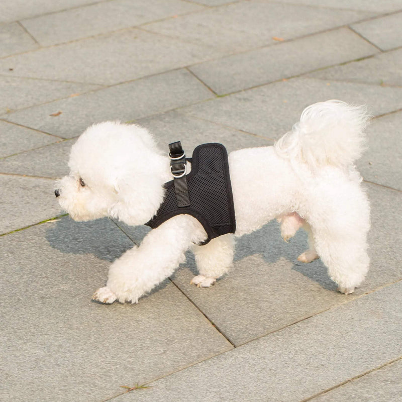 Mr. Peanut's PupTrek Small Dog/Cat Soft Mesh Step in Harness Vest (Extra Small, Camo) Extra Small - PawsPlanet Australia