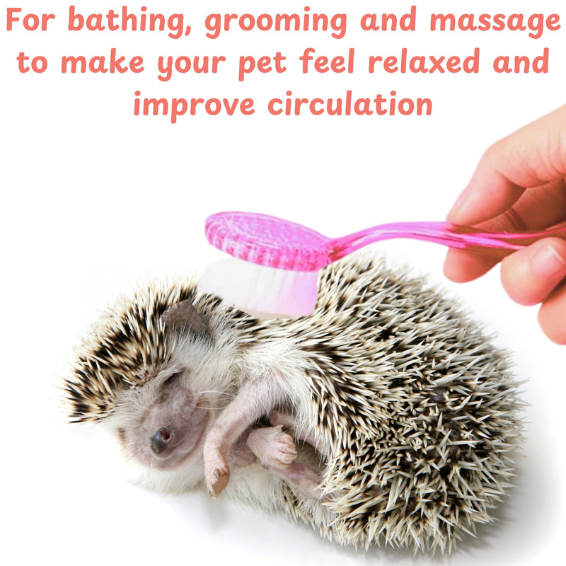 Hedgehog Toe Nail Clippers and Comb Set, 2 Pcs Hedgehog Soft Cleansing Brush and Toenail Clipper with Magnifier, Hedgehogs Massage Combs and Small Nail Clippers, Small Pet Grooming Supplies (Pink) Pink - PawsPlanet Australia