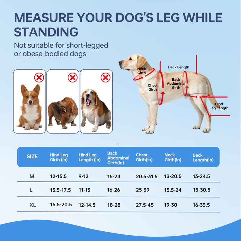 Dog Knee Brace for Back Leg - Adjustable Breathable Canine Leg Wrap with Hot & Cold Gel Packs - Supports Large & Medium Dogs with Arthritis, Hip Dysplasia, ACL Injuries M right leg