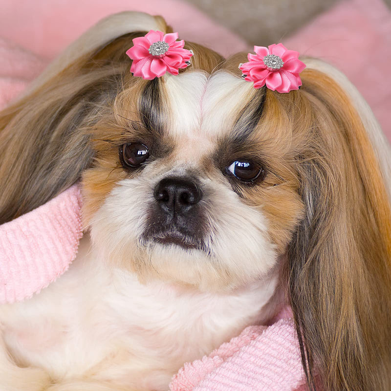 40 Pcs Flower Dogs Hair Bows with French Barrette Hair Clips Puppy Grooming Hair Accessories Dog Hair Clips Puppy Hair Bows for Small Dogs Girl Pet Cat Birthday Party Dog Hair Flower Topknot 20 Colors - PawsPlanet Australia