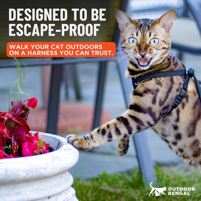 Houdini™ Escape Proof Cat Harness and Leash Set by OutdoorBengal – Orange, Medium Cat Harness for Walking M/L - PawsPlanet Australia