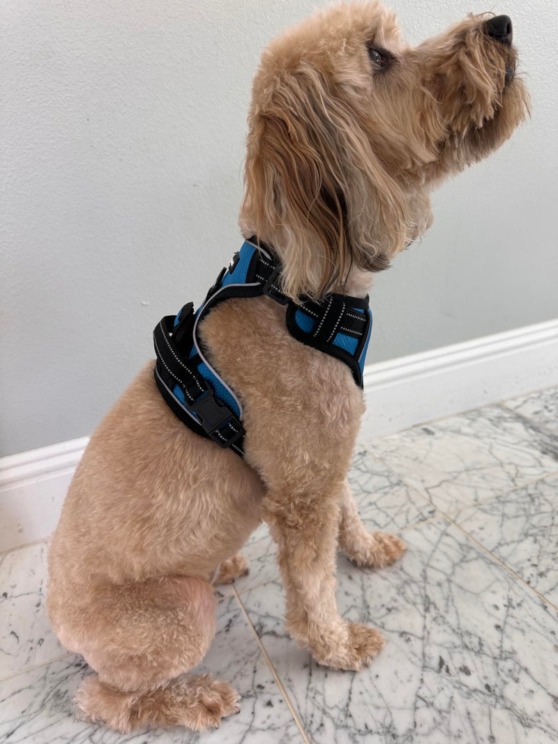 ROOSK Dog Harness | No-Pull, Reflective, 4-Way Adjustable w/Poop Bag Holder | Ultimate Comfort, Soft, Padded Waterproof Oxford w/Airmesh | 2 Leash Clips (Teal Blue, Medium) M Teal Blue - PawsPlanet Australia