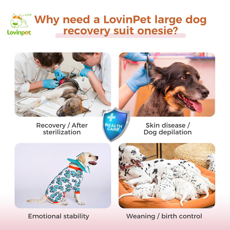 LovinPet Dog Recovery Suit - Medium Large - Dog's Bodysuit Wound Protective Surgical,E-Collar Alternative Recovery Snugly Suit for Abdominal Wounds After Surgery Anti-Licking,Rhino,Green,L Red collar/Blue - PawsPlanet Australia