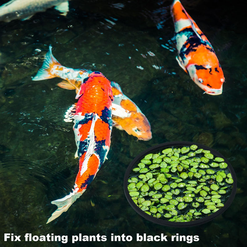 PAGOW 5pcs Fish Feeding Rings Set, Floating Aquarium Plant Corral, Round Fish Feeder Rings for Fish Tank, Floating Plant Ring, Fish Tank Aquarium Accessories for Betta (Black) Black(round) - PawsPlanet Australia