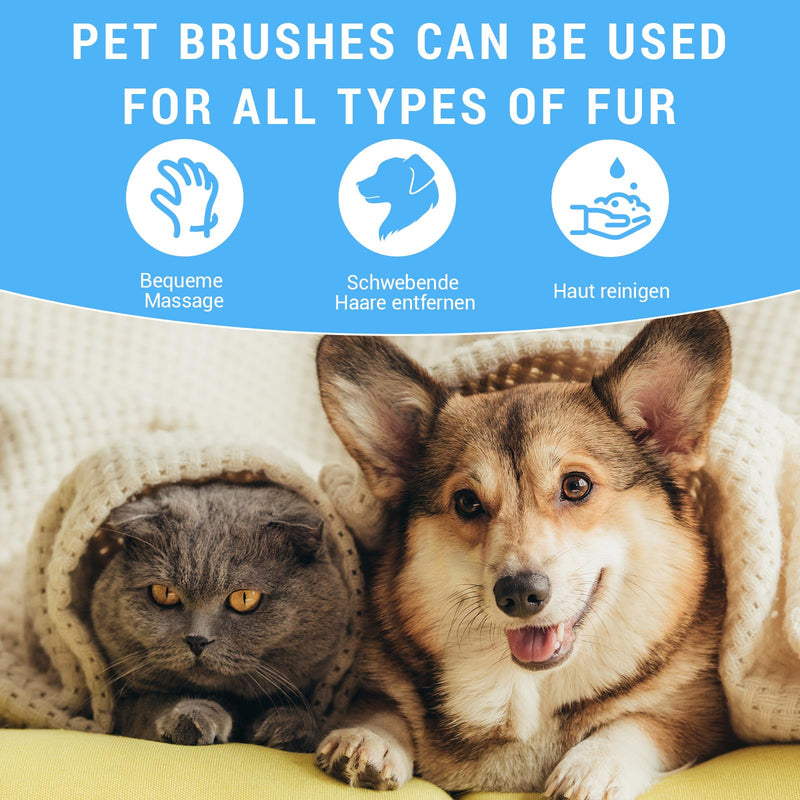 Dog Grooming Brush for Small Breeds, Soft Bristles, Suitable for Shih Tzu, Yorkie, Teddy (Blue)