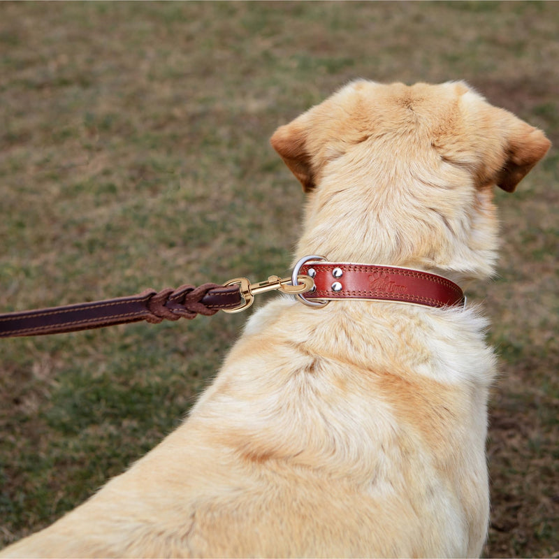 ADITYNA - Double Handle Leather Dog Leash 6ft - Heavy Duty Braided Dog Leash with Traffic Handle - Lead for Training and Walking Medium Large Breeds (Brown, Two Handles 6 Foot x 5/8") Two Handles 6 foot x 5/8" Brown - PawsPlanet Australia