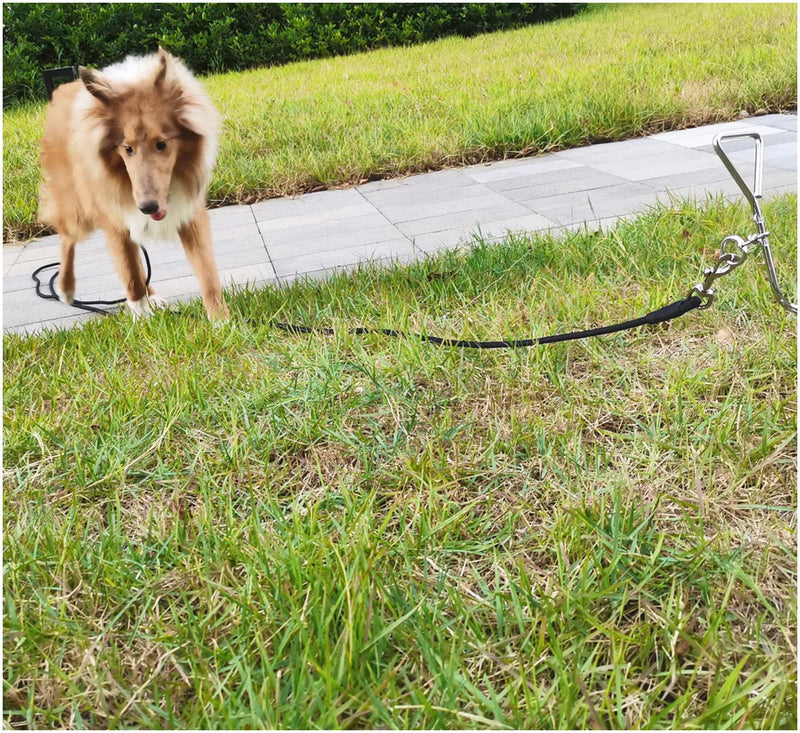 Tie Out Rope Dog Leash, 8-10-13-15-20-25-30-35-40-45-50 FT Heavy Duty Nylon Check Cord for Medium Large Dogs Indoor/Outdoor Playing Camping Backyard (Black, 3/8" x 50ft) black - PawsPlanet Australia