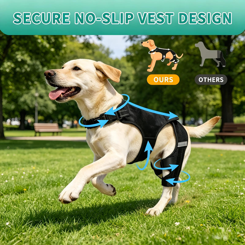Dog Knee Braces for Torn ACL Hind Leg, Adjustable Dog Leg Braces for Back Leg with 4 Stabilizers for Luxating Patella Relieves Ligament Injury and Joint Pains