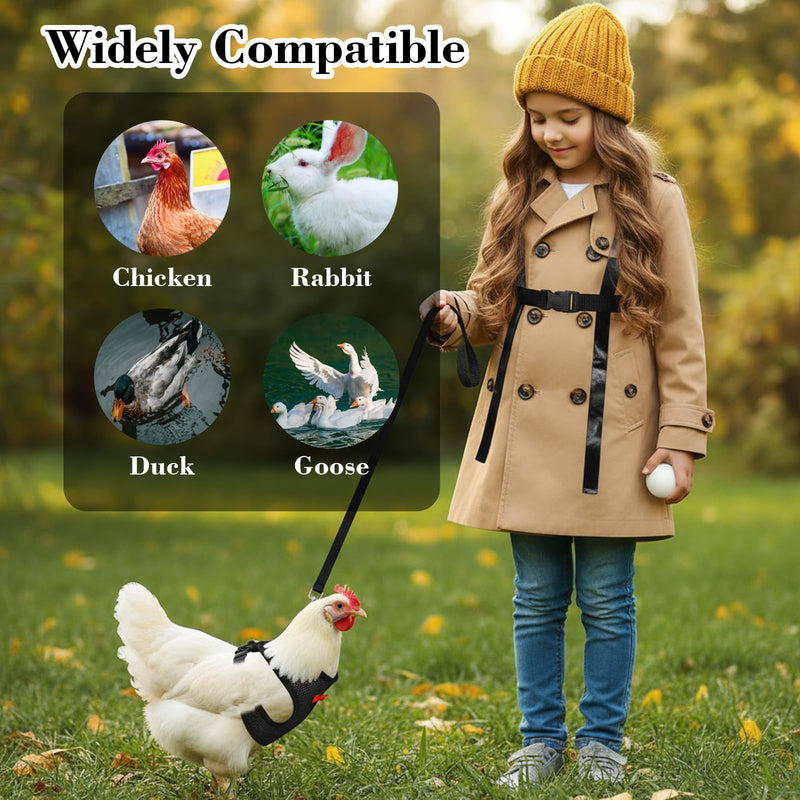 Chicken Harness with Leash Set, Upgraded Double Adjustable Mesh Breathable Chicken Training Harness, Pets Leash for 3-4 Lb Hens Duck Goose Small Pets Training Walking Supplies (Black) - PawsPlanet Australia