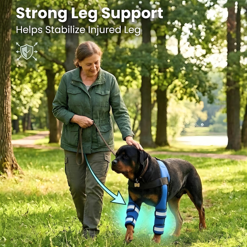 Dog Knee Brace with 4 Support Strips, Adjustable Elbow and Knee Support for Front Legs, Reflective Anti Licking Leg Wrap for Arthritis, Calluses, Injury Recovery (Large) Large