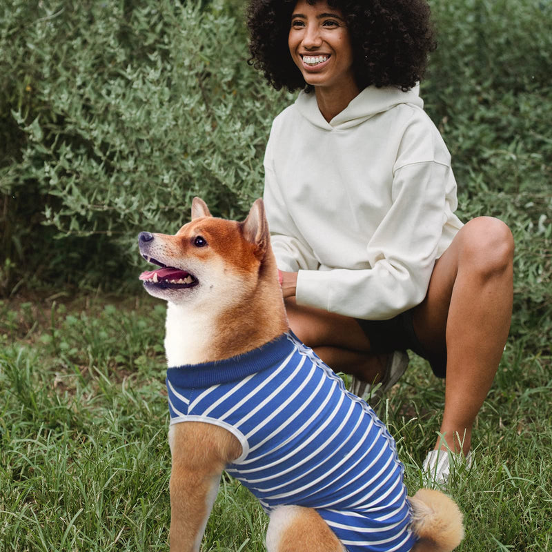 Recovery Suit for Dogs, Surgical Recovery Suit for Dogs Cats After Surgery, Cone E-Collar Alternative, Post-Operative Abdominal Wound Protector, Prevent Licking for Dogs, Males, Pets M
