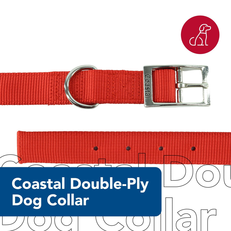 Coastal Pet - Double-Ply Dog Collar, Blue, 1" x 26" 1" x 26" (Pack of 1) - PawsPlanet Australia