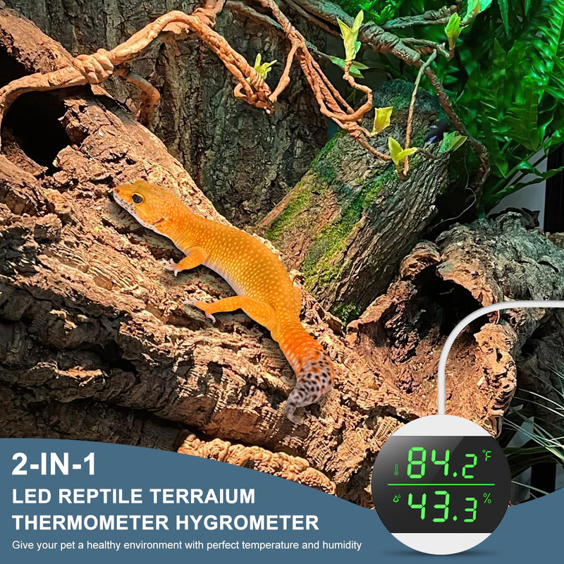 Reptile Tank Thermometer, USB Power Supply LED Digital Reptile Thermometer Hygrometer, 10s Refresh Speed, ±1.8℉ High Precision, Terrarium Thermometers for Reptile (Power Plug not Included) - PawsPlanet Australia