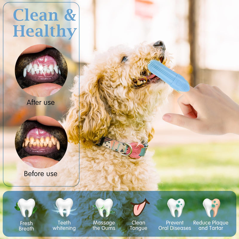 6 Pack Dog Toothbrush Cat Dogs Cleaning Finger Toothbrush Silicone Pet Teeth Brush Soft Dog Tooth Brush Kit for Large Medium Dogs Dental Care Clean Accessories - PawsPlanet Australia