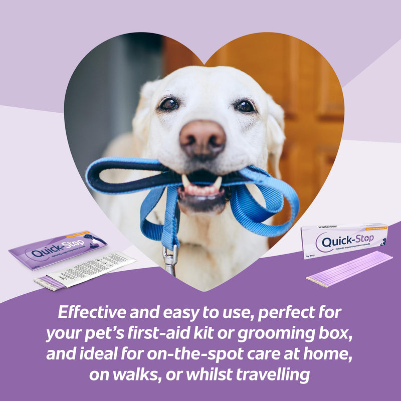 Silver Nitrate 75% Applicator (Pack of 10 - Large) – Flexible Single-Use Nail, Paw & Minor Wound Care for Pets –Tool To Use At Home for Grooming & Small Wounds