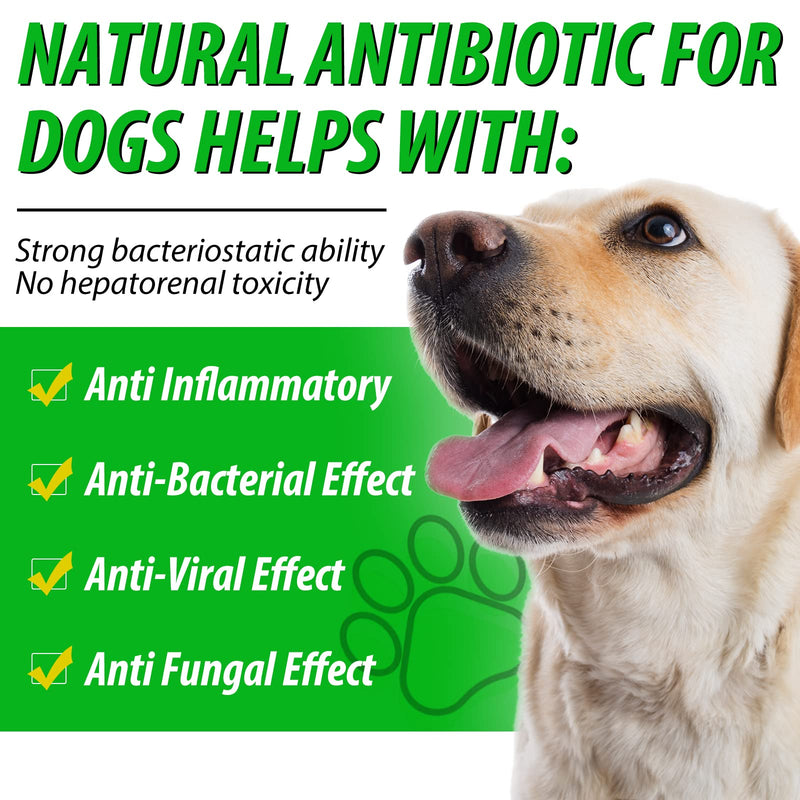 Antibiotics for Dogs, Dog Supplement Drops Supports Dogs Allergy Relief, Dogs Skin Itch Relief, Kennel Cough, UTI and Ear Infection - Pet Health Supplement, Dog Multivitamin, Bacon Flavor - 2 Fl Oz - PawsPlanet Australia