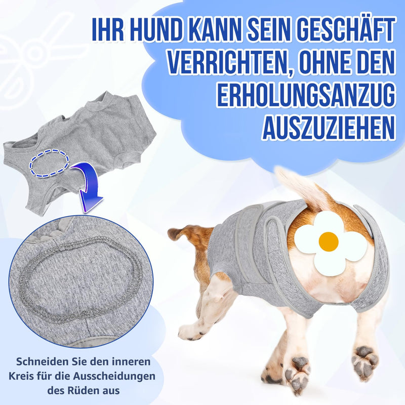 Eyein Dog Bodysuit for After Surgery, Wound Protection Suits for Male/Female Dogs, with Zip and Velcro Fastening, Anti-Licking Wound Protection, Breathable Onesie (Grey, XXL) gray