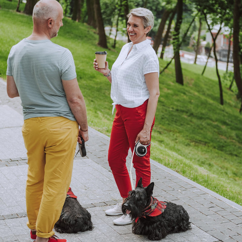 FLEXI® New Comfort Tape Retractable Dog Leash for Large Dogs Upto 110 lbs. – 26 ft., Nylon, Grey/Black| Tangle Free Pet Walking Leash with One-Handed Brake, Pause, Lock |German Quality Product Large - 26 Feet - PawsPlanet Australia