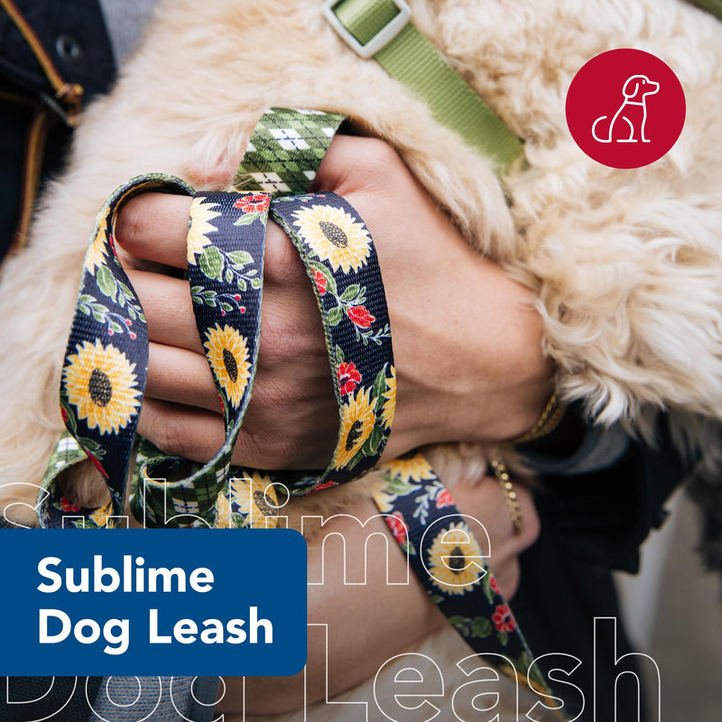 Coastal Pet Sublime Dog Leash - Dog Walking Leash - Fashionable Dual-Pattern Design with Colorful & Trendy Pattern - Sunflower with Green Argyle, 1" x 6' - PawsPlanet Australia